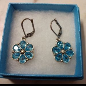 Touchstone Crystal By Swarovski Earrings